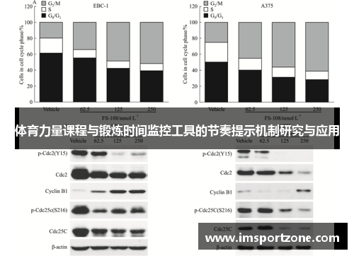 体育力量课程与锻炼时间监控工具的节奏提示机制研究与应用